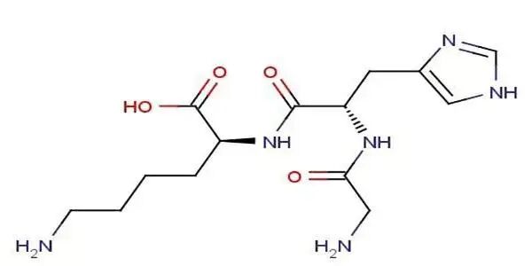 寡肽对皮肤的重要性